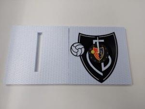 FC Basel 1893 photo review